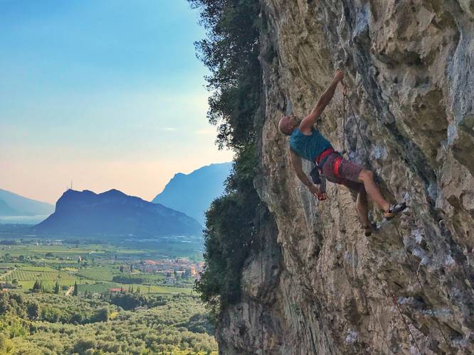 Aladin 7a, Arco