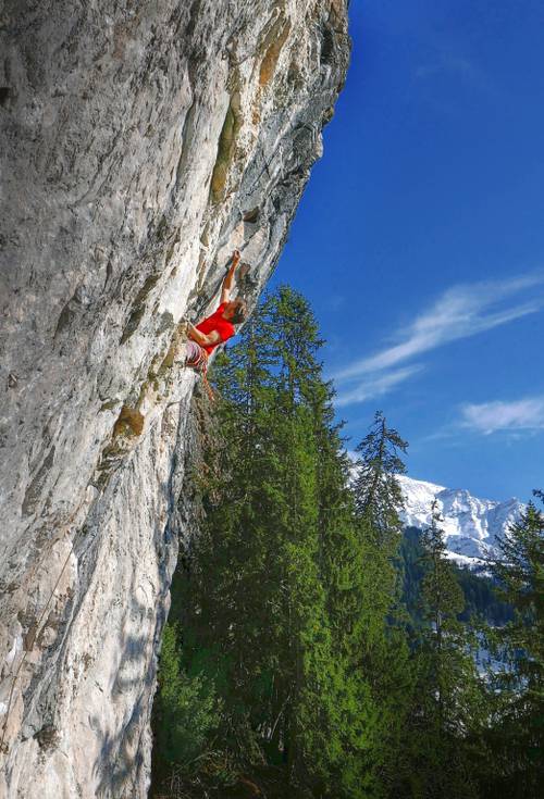 Scarface 7b, Bionnassay