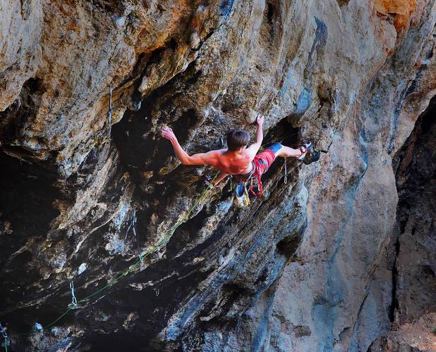 Phoenix 8b+