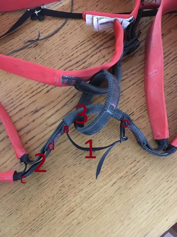 Mina's accident might change harness design