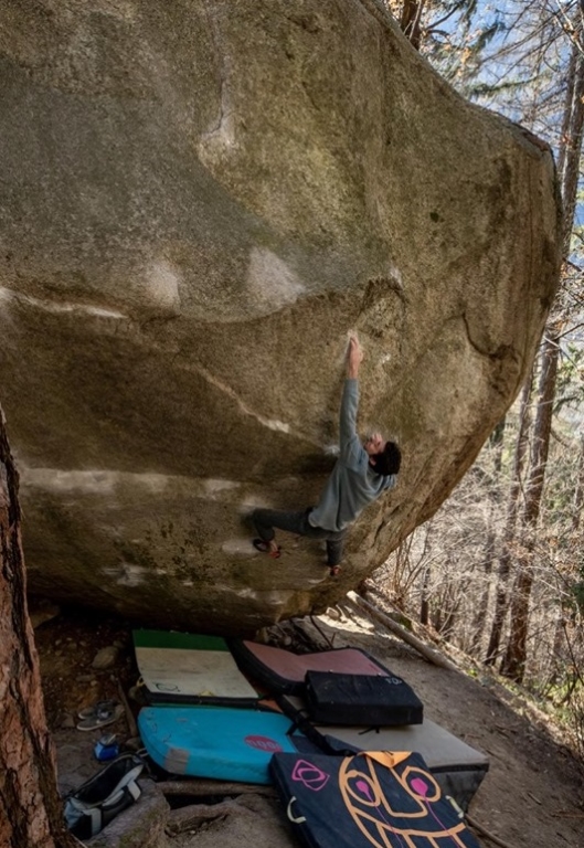 REM 8B+ (C+) by Paul Robinson