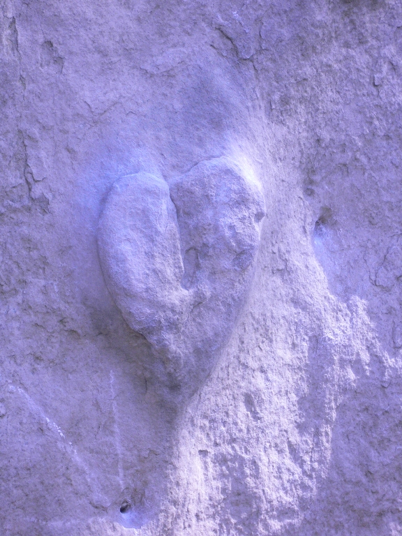 Eléphant