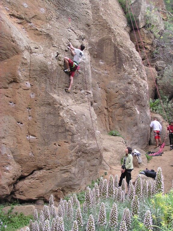 Arico Arriba (Upper)