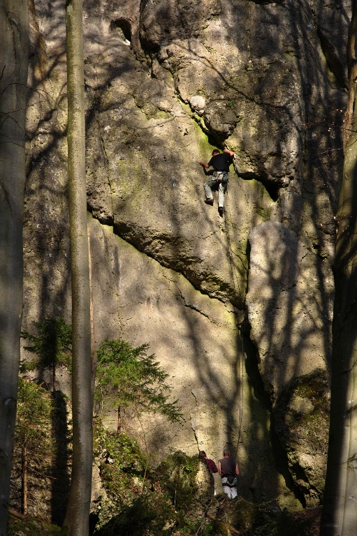 Jubiläumswand