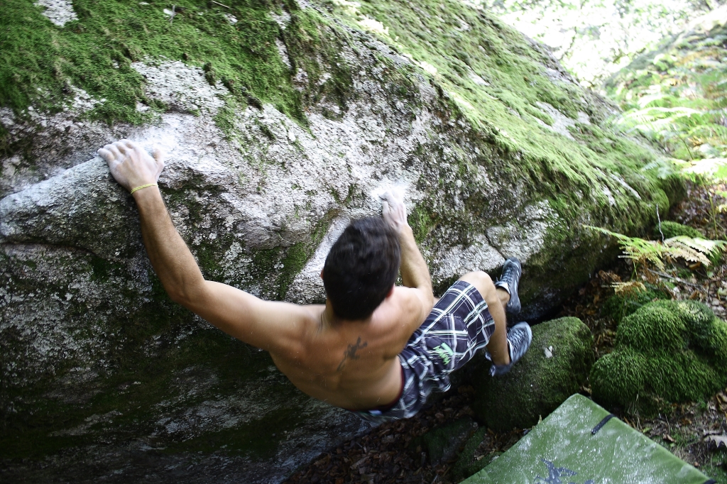 Corno de bico