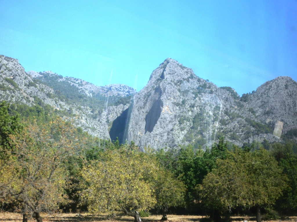 Sa Gubia