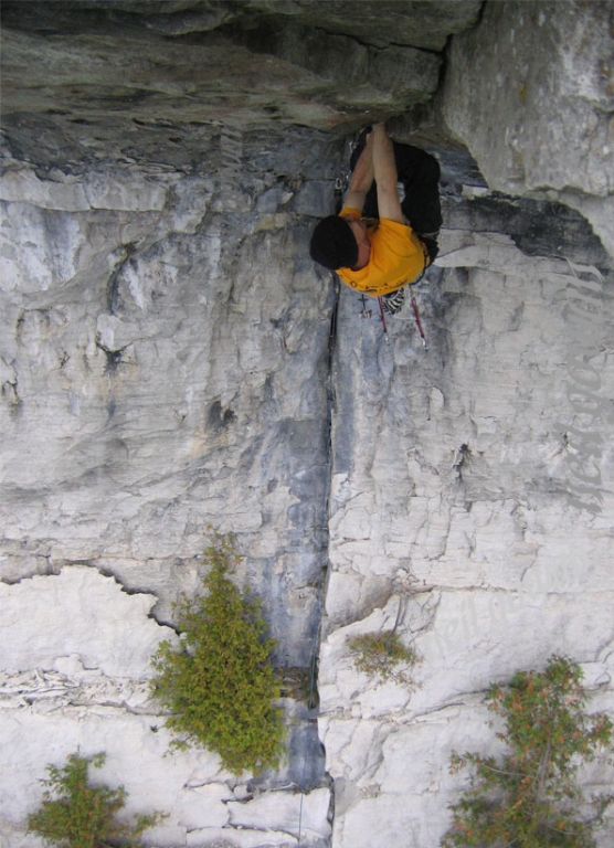 White Bluff