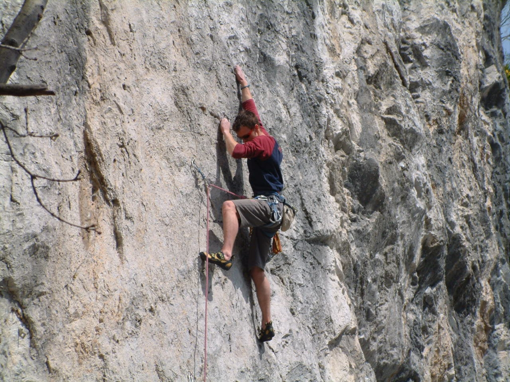 Kotečnik