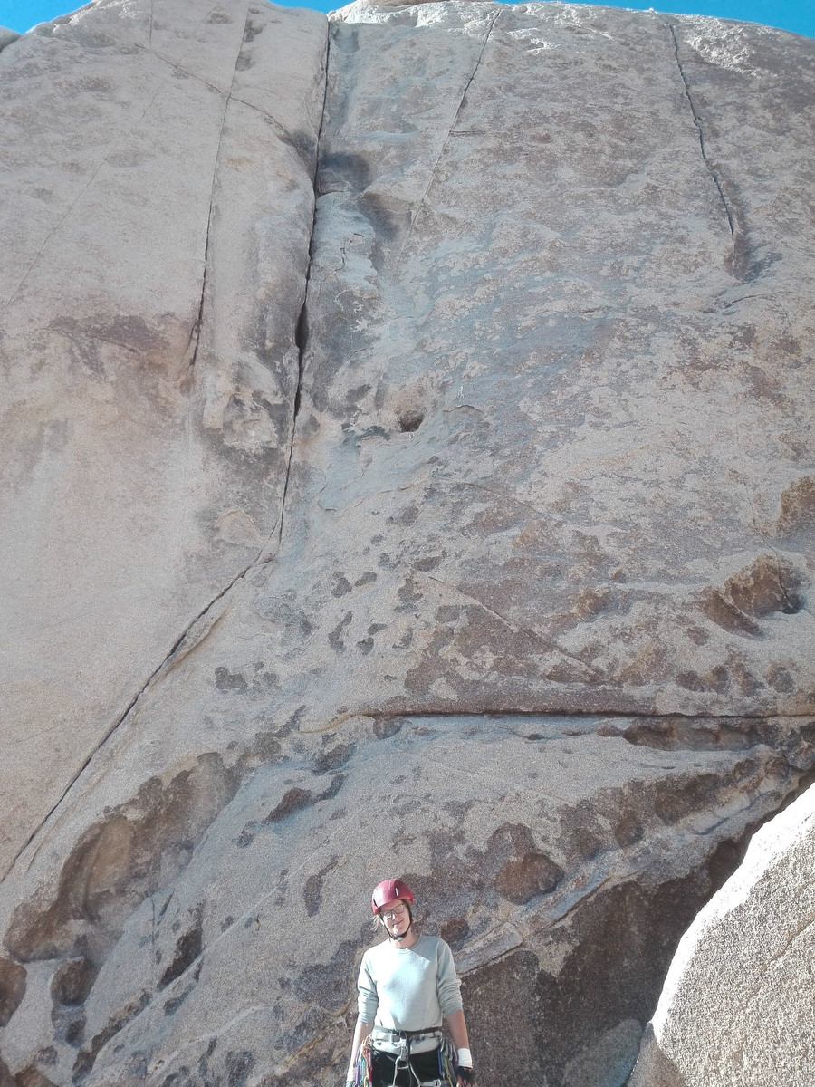 Jumbo Rocks Area
