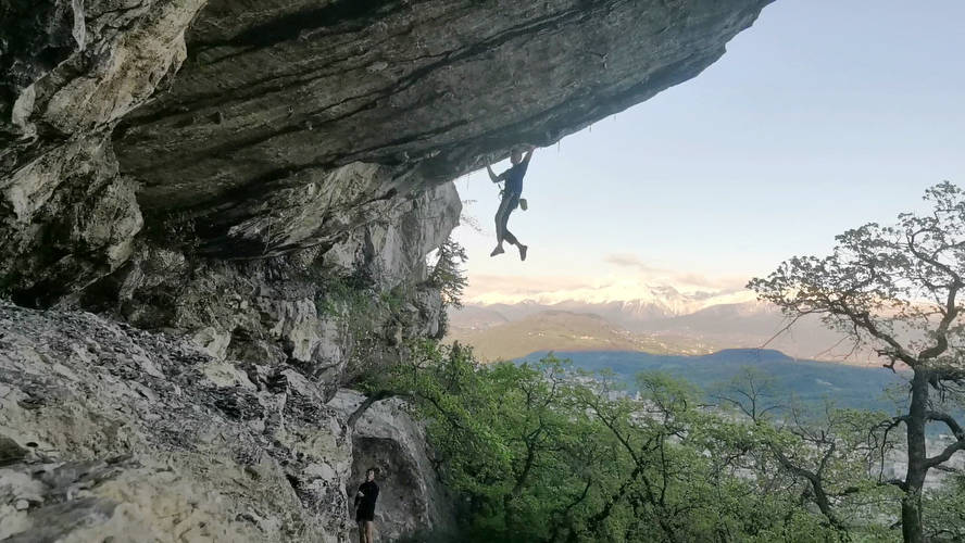 7a+ fleur de nave