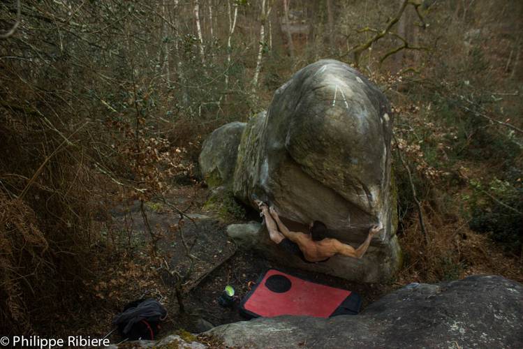 La gaule 7c, Fontainebleau