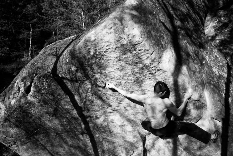 Egoiste 7a, Fontainebleau
