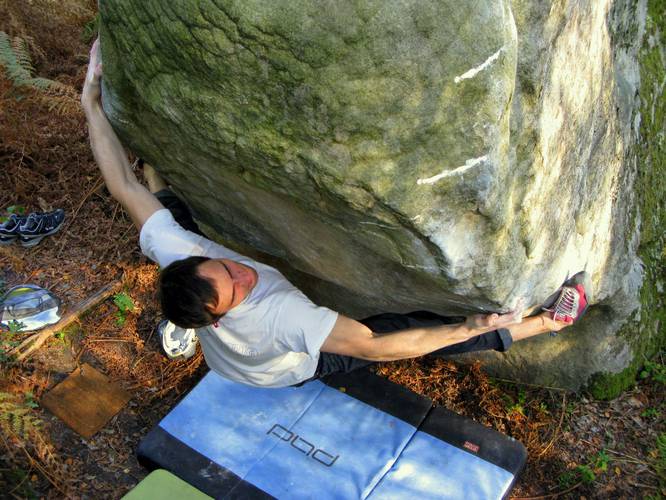 La gaule 7c, Fontainebleau
