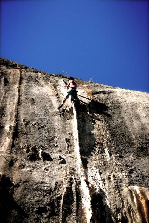 dinausore, 8a+ seynes