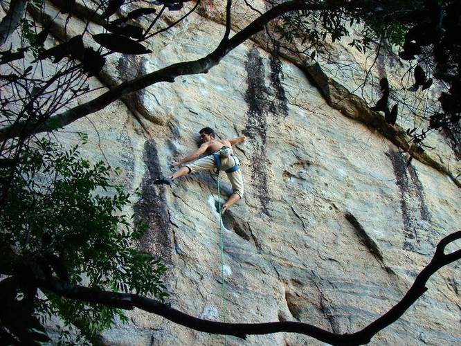 Vaca Louca 8b, Barrinha