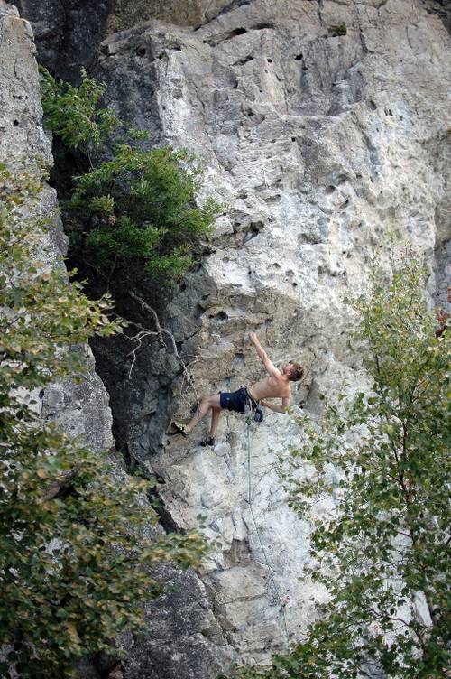 Tintin Au Tibet 5c, Kamouraska