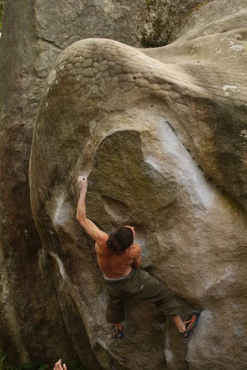 fontainebleau...durox
