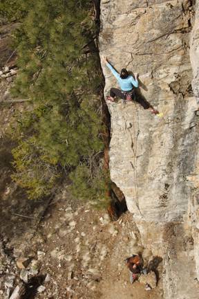 Cockasian Blend 6c, Skaha