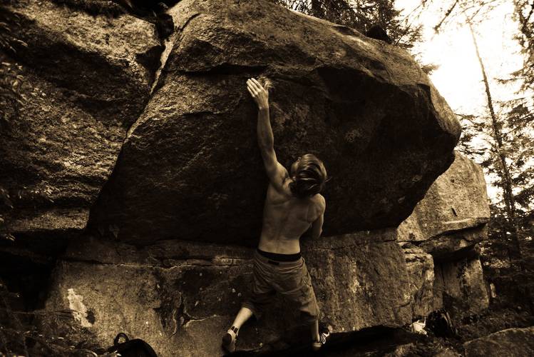 Delirium Tremens 7b, Pinsiö