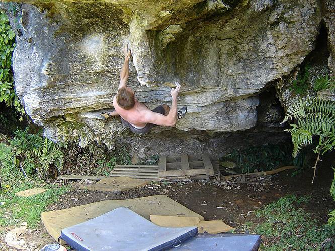 "Franks Better Half" V6
