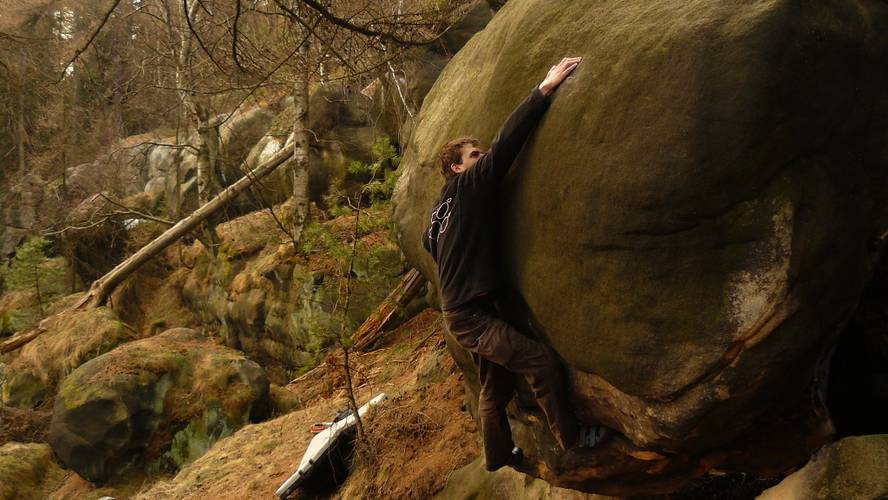 Nirvana 7A, Zittau