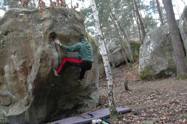 Sarkopabo 7a, Fontainebleau