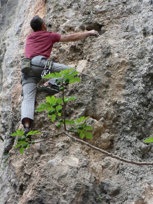 Comfortably 6b+, Geyik bayiri