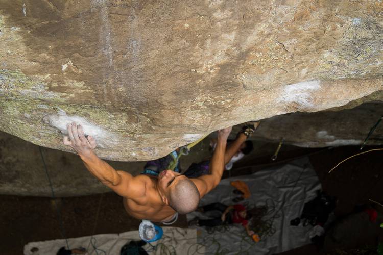 Caça ao Tesouro 7c, Curucaca