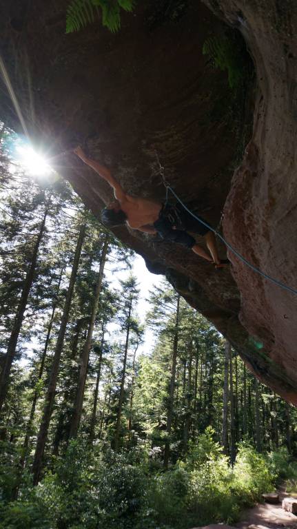 Délice Paloma 8a, Elsass