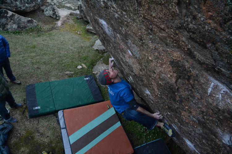 supermuse 7C+,