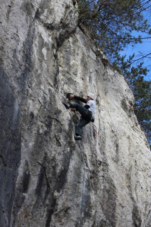 Entropy 7b, Raek