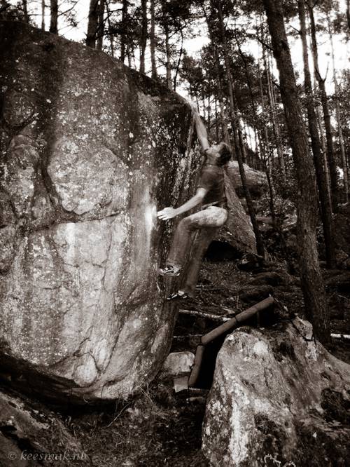 Thriller 8a