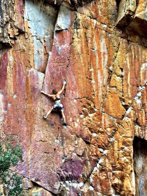 Glass Menagerie 7b+, Fernkloof