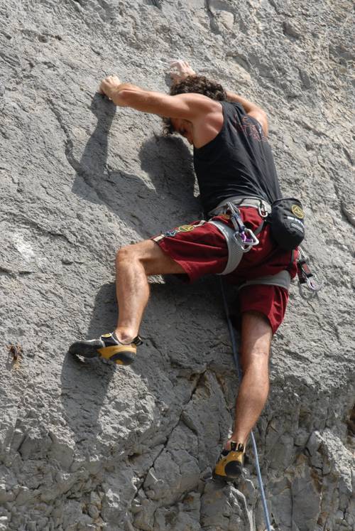 Delirium Post Mortem 7c, MUZZERONE
