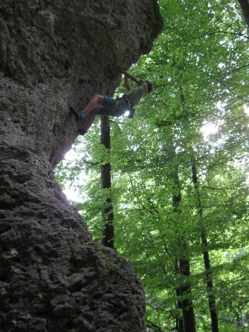 Alte Und Jungnasen 6b, Frankenjura