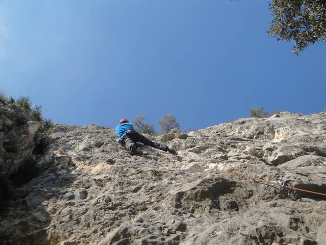 Porc vietnamita 5b, La Facu