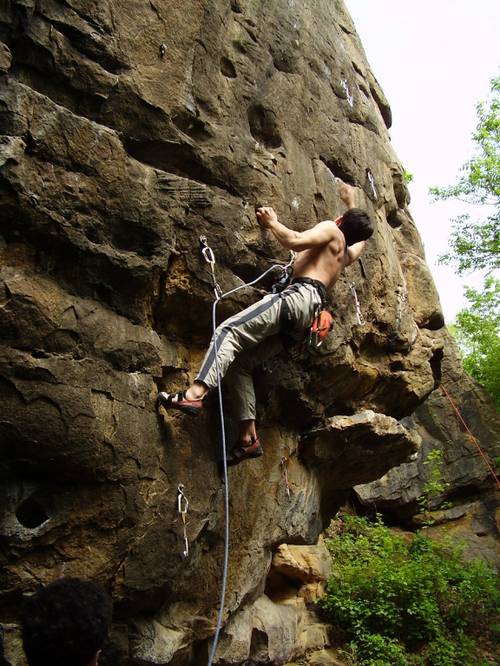 Dan Kolov 7a, Bojenica