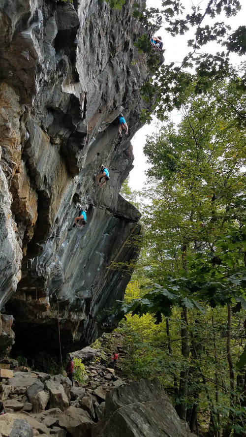 All the kneebars
