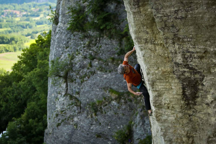 Fiori rosa 8a+