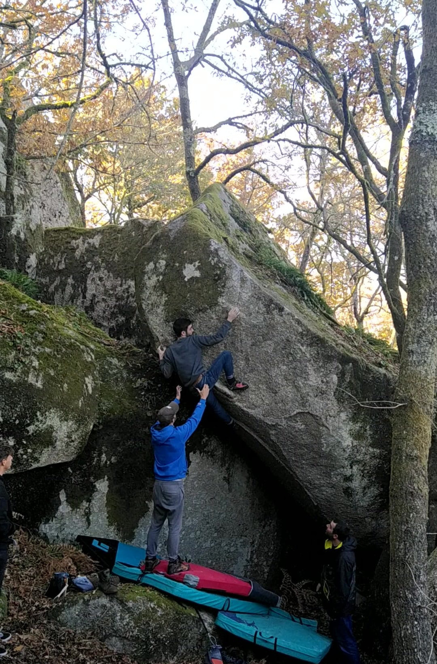 Pena Corneira